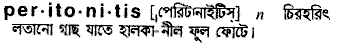 Peritonitis in Bangla Academy Dictionary