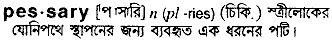 Pessary in Bangla Academy Dictionary