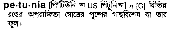 Petunia in Bangla Academy Dictionary