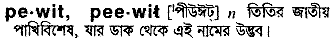 Pewit in Bangla Academy Dictionary