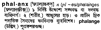 Phalanx in Bangla Academy Dictionary