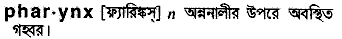 Pharynx in Bangla Academy Dictionary