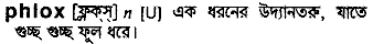 Phlox in Bangla Academy Dictionary