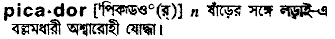 Picador in Bangla Academy Dictionary