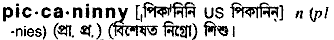 Piccaninny in Bangla Academy Dictionary