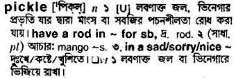 Pickle in Bangla Academy Dictionary