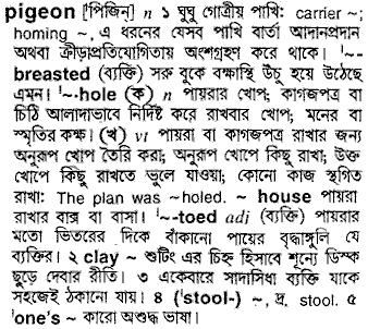 Pigeon in Bangla Academy Dictionary