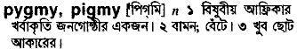 Pigmy in Bangla Academy Dictionary