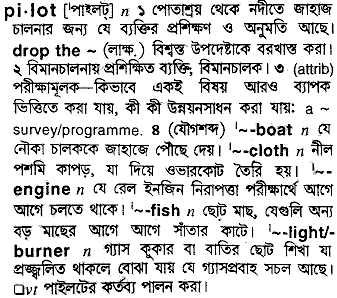 Pilot in Bangla Academy Dictionary
