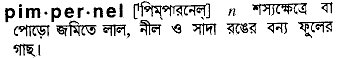 Pimpernel in Bangla Academy Dictionary