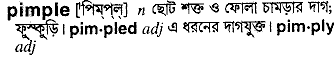Pimple in Bangla Academy Dictionary