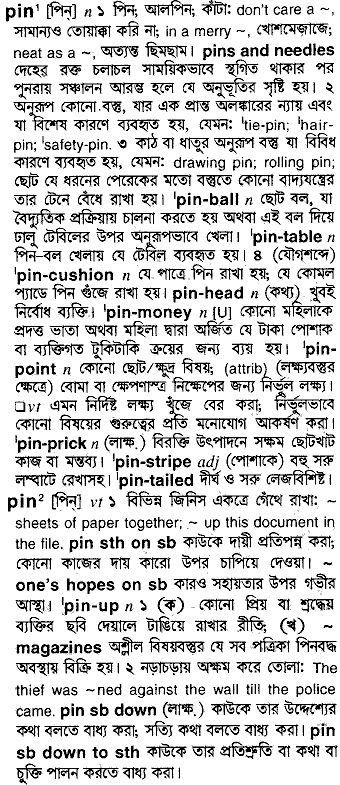 Pin in Bangla Academy Dictionary