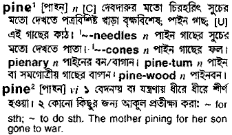 Pine in Bangla Academy Dictionary