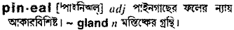 Pineal in Bangla Academy Dictionary