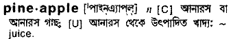 Pineapple in Bangla Academy Dictionary