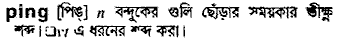 Ping in Bangla Academy Dictionary