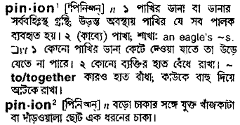 Pinion in Bangla Academy Dictionary