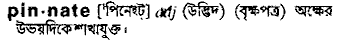 Pinnate in Bangla Academy Dictionary
