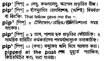 Pip in Bangla Academy Dictionary