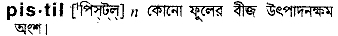 Pistil in Bangla Academy Dictionary