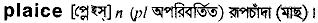 Plaice in Bangla Academy Dictionary