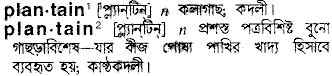 Plantain in Bangla Academy Dictionary