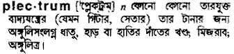 Plectrum in Bangla Academy Dictionary