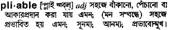 Pliable in Bangla Academy Dictionary