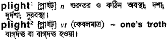 Plight in Bangla Academy Dictionary