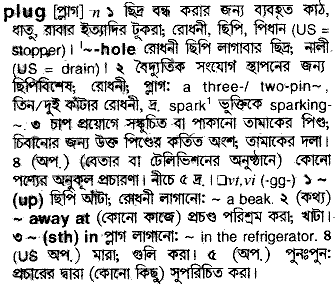 Plug in Bangla Academy Dictionary