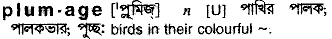 Plumage in Bangla Academy Dictionary