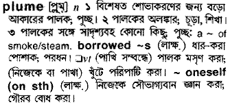 Plume in Bangla Academy Dictionary
