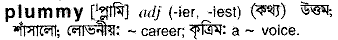 Plummy in Bangla Academy Dictionary