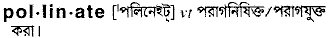 Pollinate in Bangla Academy Dictionary