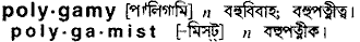 Polygamy in Bangla Academy Dictionary