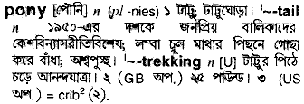 Pony in Bangla Academy Dictionary