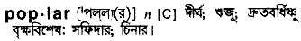 Poplar in Bangla Academy Dictionary