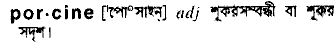 Porcine in Bangla Academy Dictionary