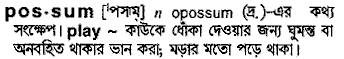 Possum in Bangla Academy Dictionary