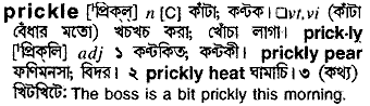 Prickle in Bangla Academy Dictionary
