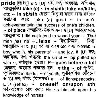 Pride in Bangla Academy Dictionary