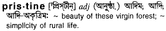 Pristine in Bangla Academy Dictionary