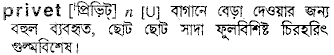 Privet in Bangla Academy Dictionary