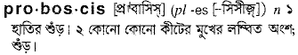 Proboscis in Bangla Academy Dictionary