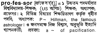 Professor in Bangla Academy Dictionary