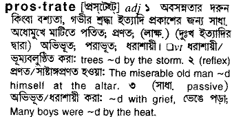 Prostrate in Bangla Academy Dictionary
