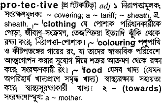 Protective in Bangla Academy Dictionary