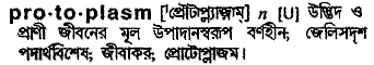 Protoplasm in Bangla Academy Dictionary