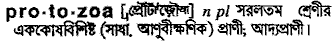 Protozoa in Bangla Academy Dictionary
