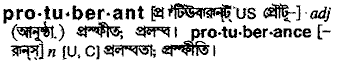Protuberant in Bangla Academy Dictionary